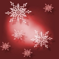 dec (4)